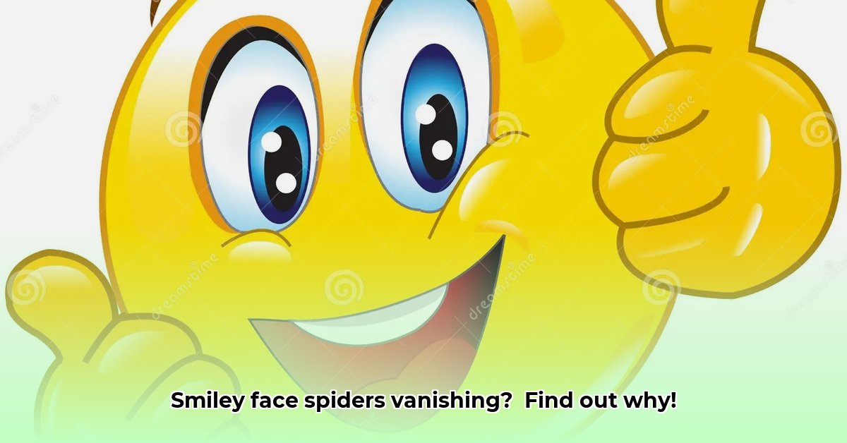 smiley-face-spider